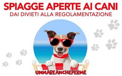 Cani In Spiaggia Ecco La Proposta Di Legge Regionale